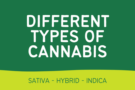 sativa indica hybrid