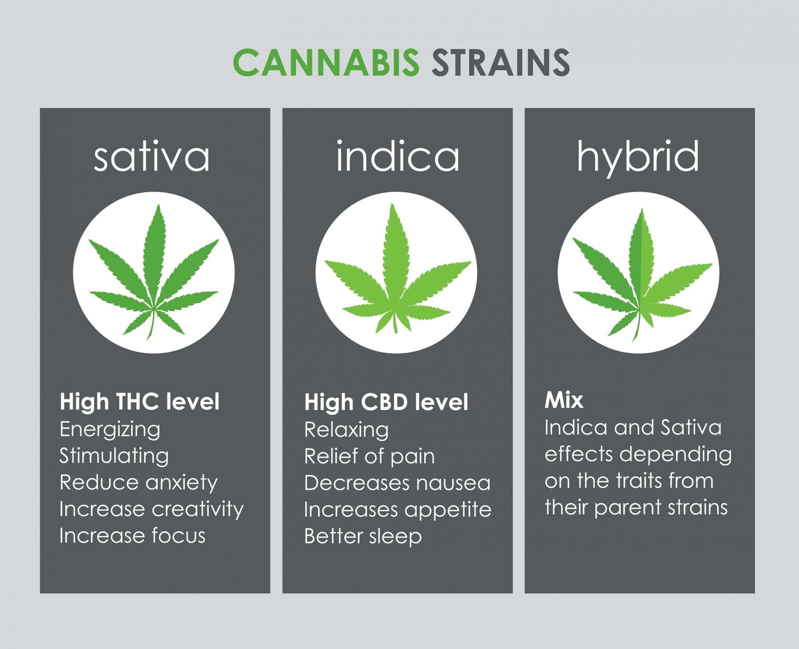 differences-between-sativa-indica-hybrid-scaled