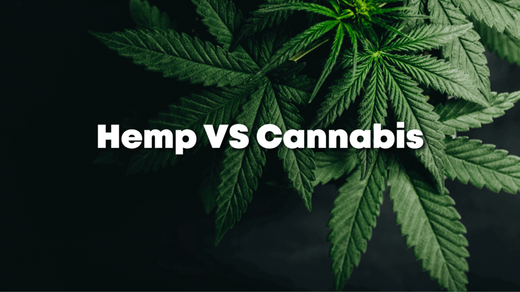 Industrail Hemp