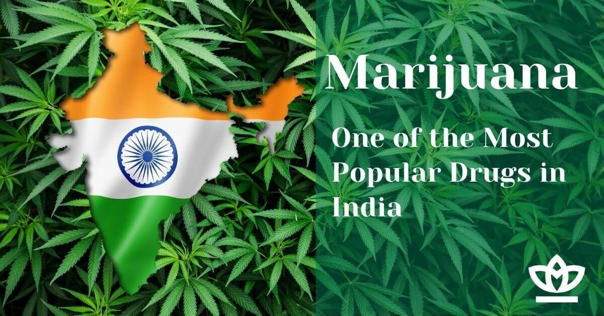 Cannabis Legalization in India