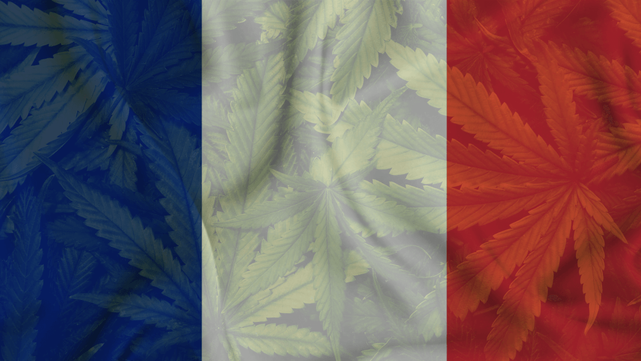 Cannabis Legalization in France