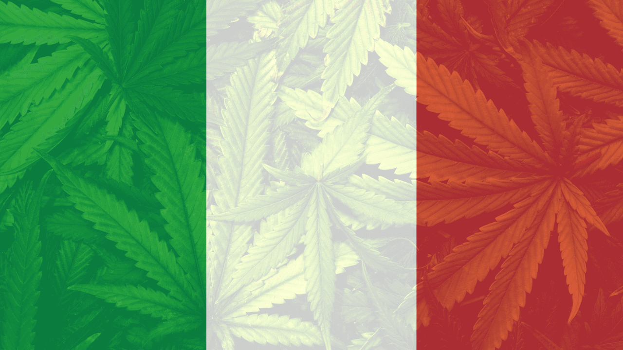 Cannabis Legalization in Italy