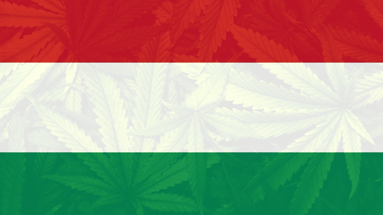 Cannabis Legalization in Hungary