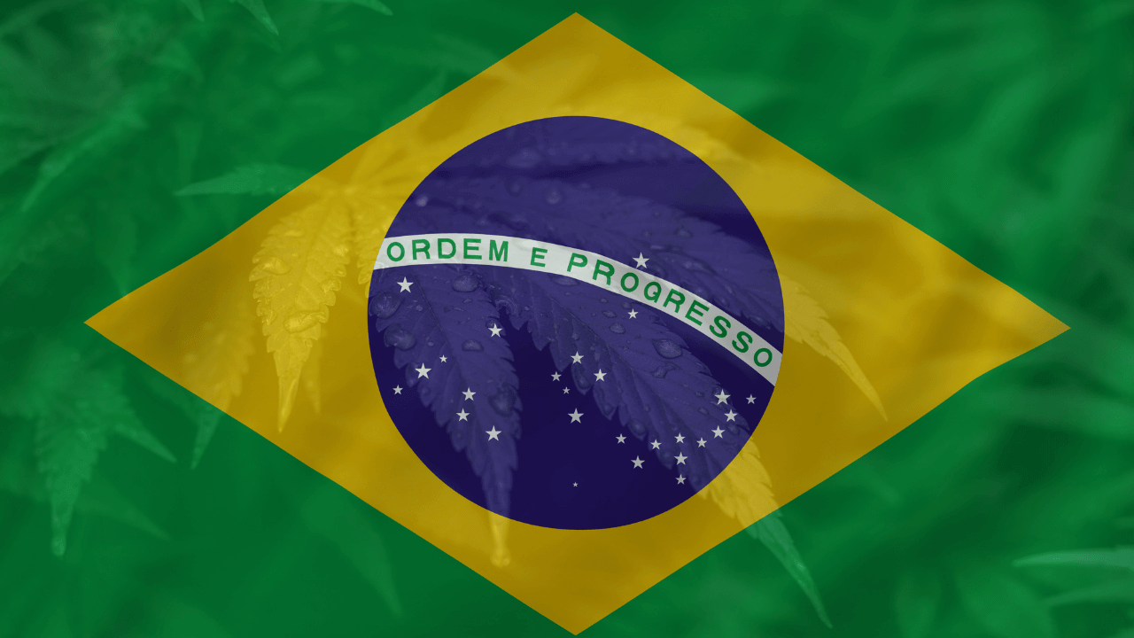 Cannabis Legalization In Brazil