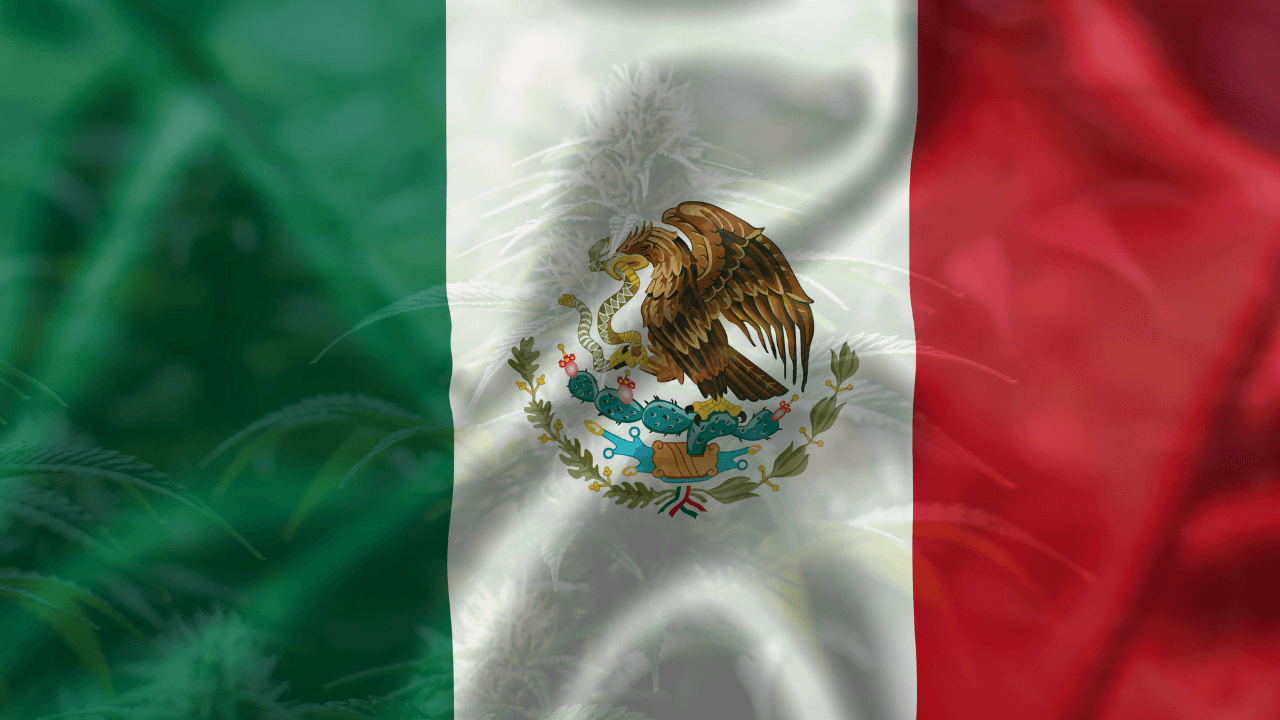 Cannabis Legalization in Mexico