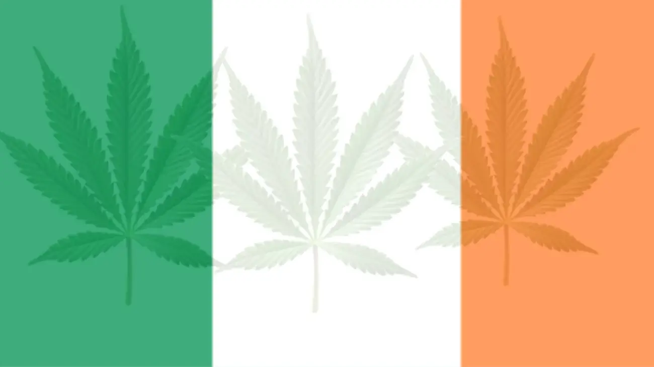 Cannabis Legalization in Ireland