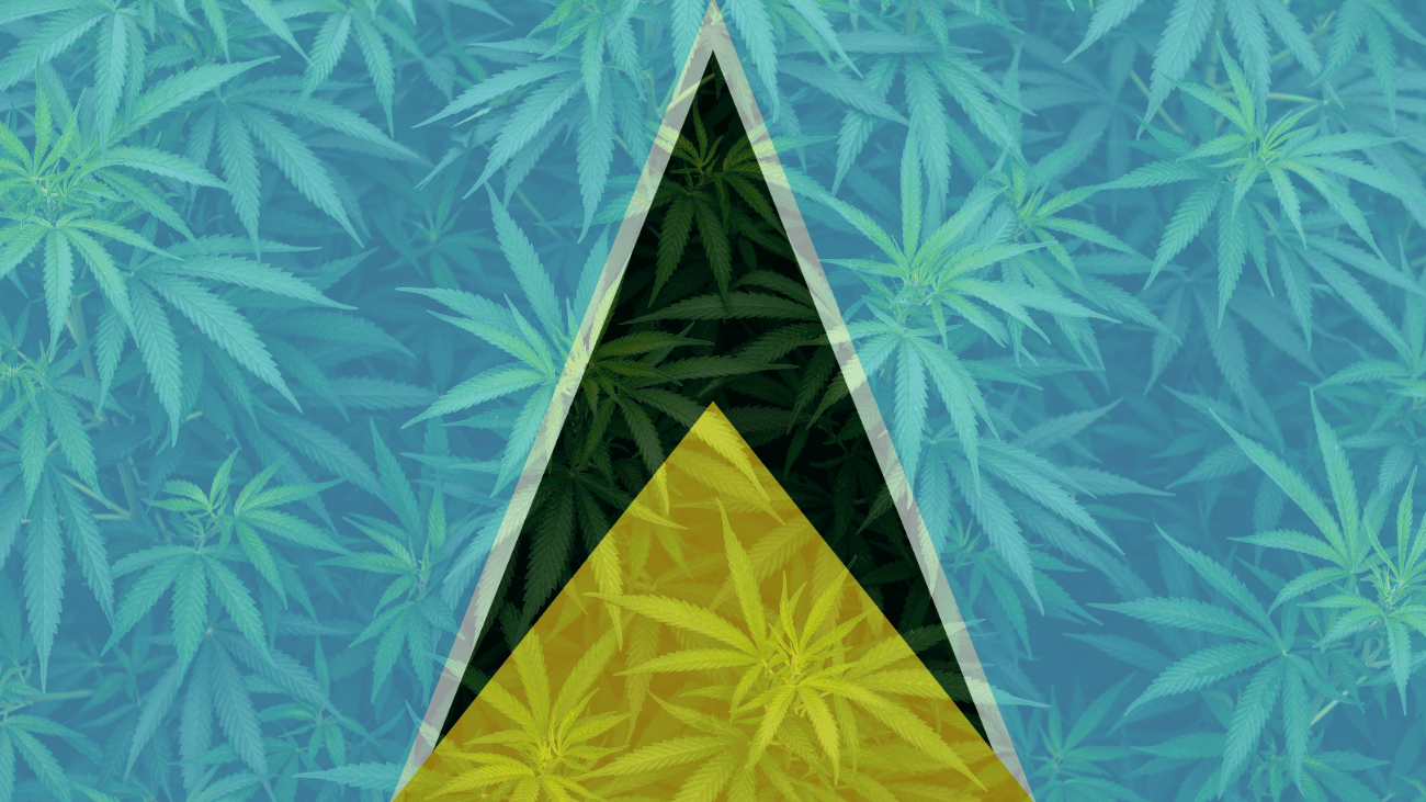 Cannabis In Saint Lucia