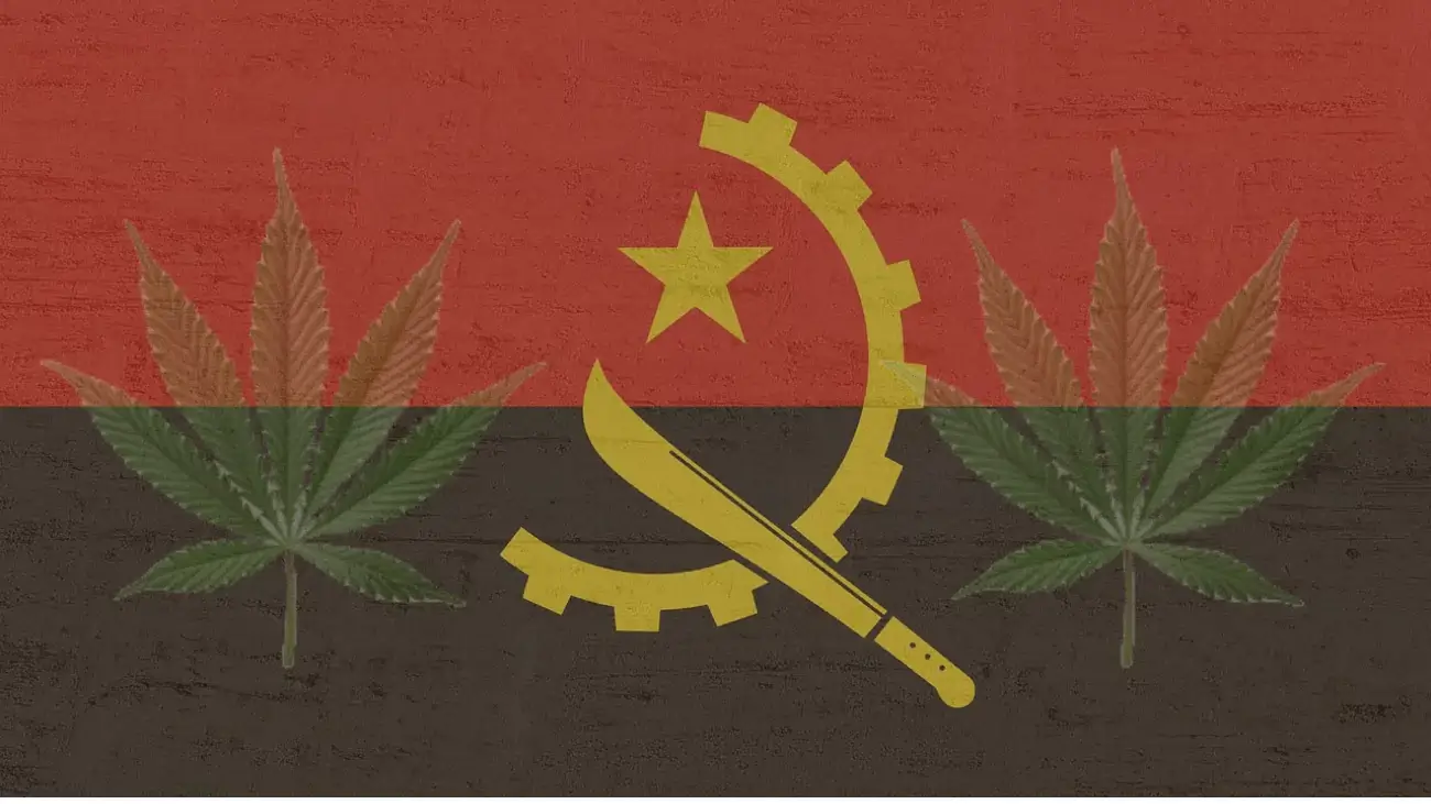 Cannabis Legalization in Angolia