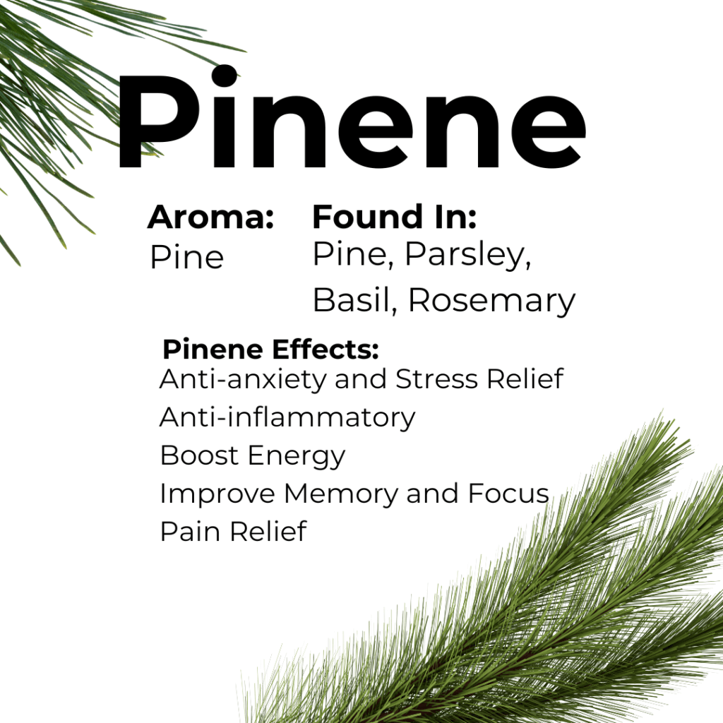 What is Pinene