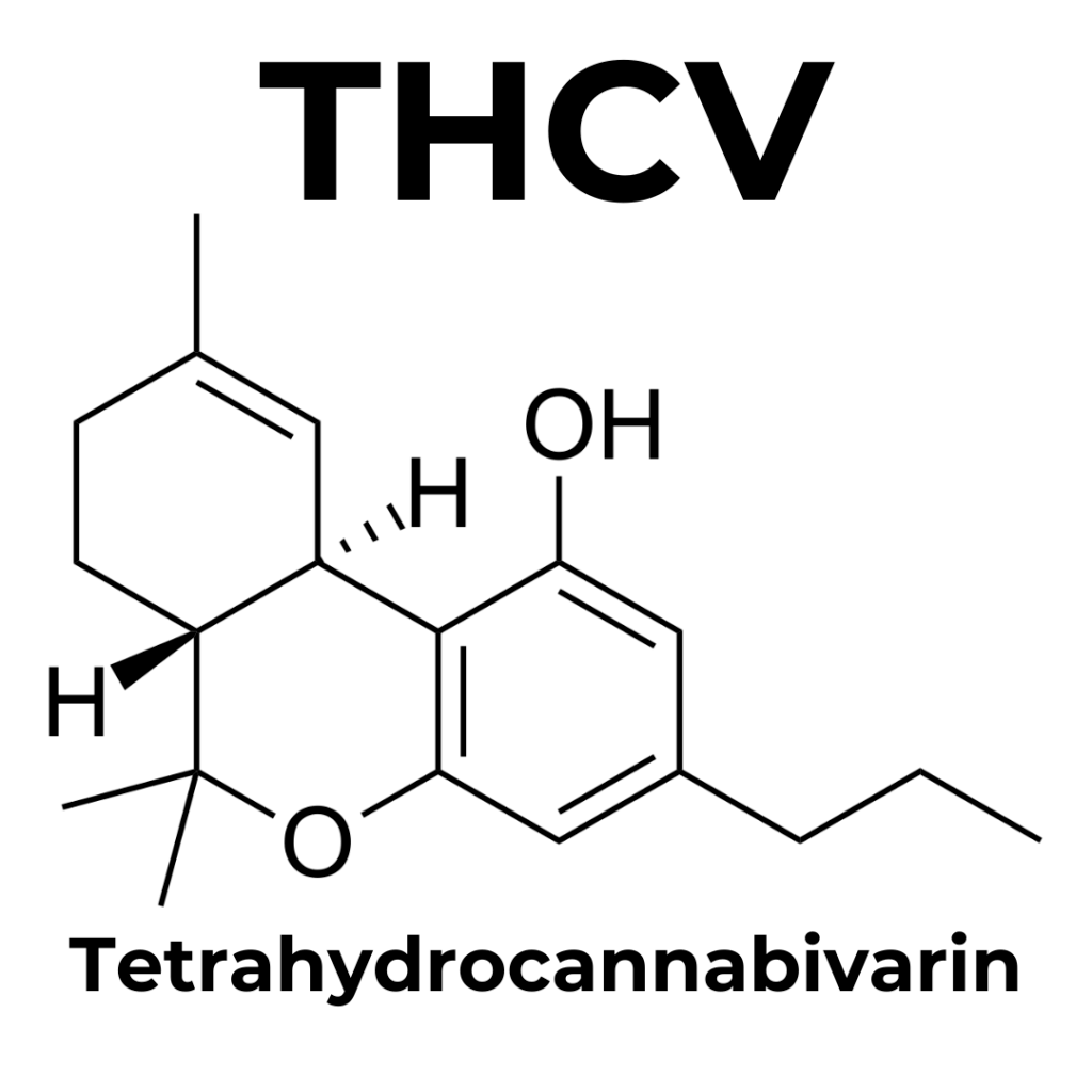 What is THCV