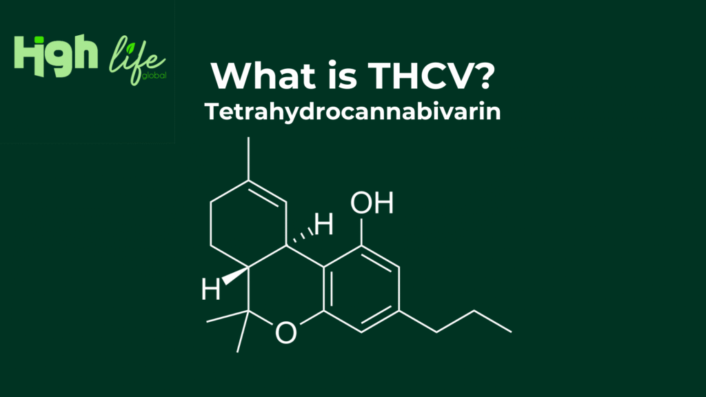 What is THCV
