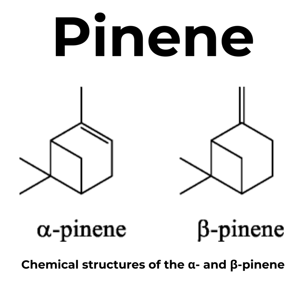 pinene chemical structure
