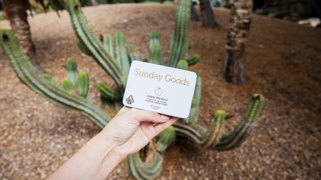 Sunday Goods Sunday Pre Rolls 7-pack of half-gram premium flower cones in a cream and gold tin on a wood surface
